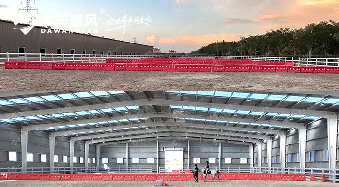 大王通風&北極星馬術(shù)學院聯(lián)手打造舒適運動空間