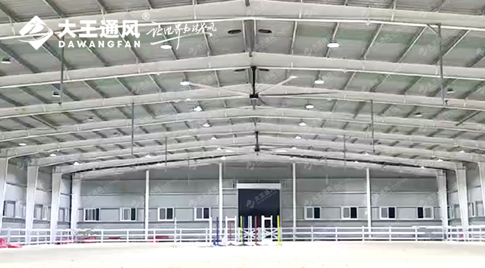 大王通風&北極星馬術(shù)學院聯(lián)手打造舒適運動空間